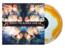Between the Buried and Me - The 