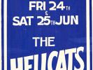 The Hellcats 1977 Poster (Radio Birdman Hoodoo Gurus 