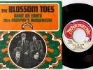 The Blossom Toes - What On Earth 7 