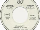 The Monkees / Pleasant Valley Sunday / Words / Vinyl / 