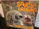 SAVOY BROWN  -  LOOKING IN org-UK 1st.