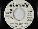 Northern Soul 45 - Cashmeres - Finally Waking 