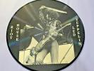 Led Zeppelin Riot House Vinyl Picture Disc 