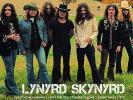 Lynyrd Skynyrd Icon (2 Lps) Records & LPs New
