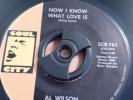 AL WILSON NOW I KNOW WHAT LOVE 