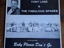 Tony Lane & The Fabulous Spades – Introducing Baby 