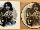 LP 33 PICTURE DISC LED ZEPPELIN FROM L.