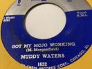 MUDDY WATERS Got My Mojo Working/ Rock 