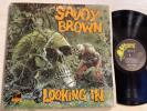 Savoy Brown Looking In LP Parrot 1st 