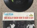 JAN & DEAN - YOU REALLY KNOW HOW 